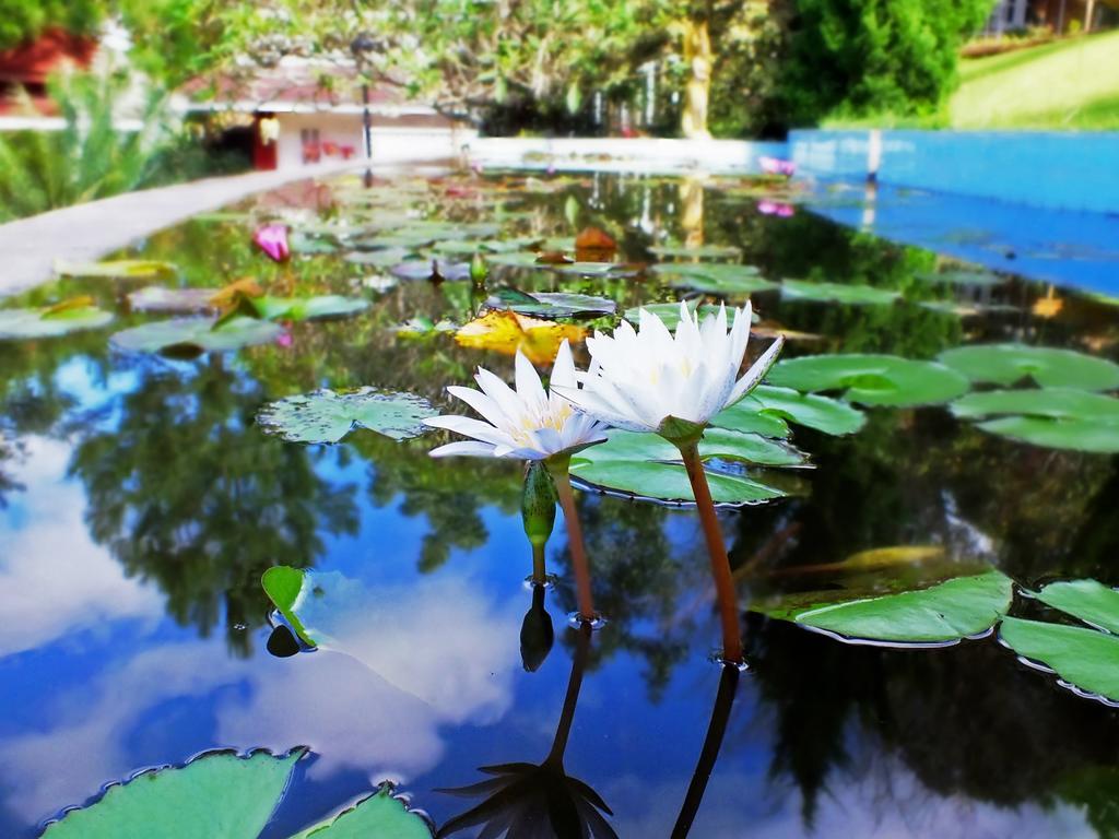 Royal Kalaw Hills Resort Zewnętrze zdjęcie